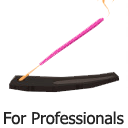 Yoga For Professionals
