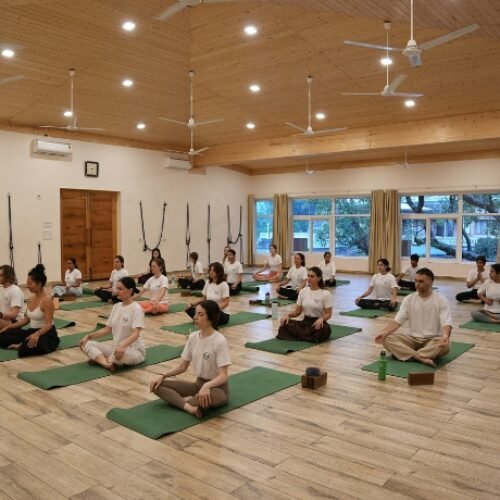 Why Your Yoga Teacher Needs to Hear Your Success Stories